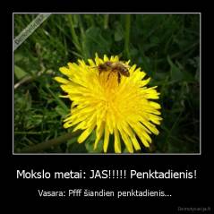 Mokslo metai: JAS!!!!! Penktadienis! - Vasara: Pfff šiandien penktadienis... 