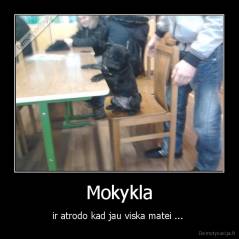 Mokykla - ir atrodo kad jau viska matei ... 