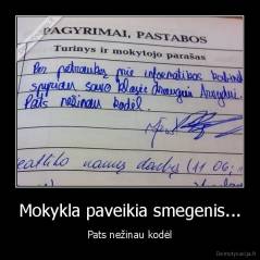 Mokykla paveikia smegenis... - Pats nežinau kodėl