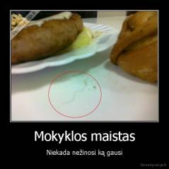 Mokyklos maistas - Niekada nežinosi ką gausi