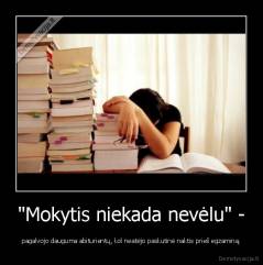 "Mokytis niekada nevėlu" - - pagalvojo dauguma abiturientų, kol neatėjo paskutinė naktis prieš egzaminą.
