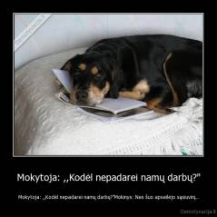 Mokytoja: ,,Kodėl nepadarei namų darbų?" - Mokytoja: ,,Kodėl nepadarei namų darbų?"Mokinys: Nes šuo apseilėjo sąsiuvinį...