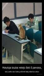 Mokytojai skubiai reikėjo išeiti iš pamokos, - tad ji paliko savo katiną prižiūrėti testą rašančius vaikus