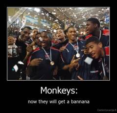 Monkeys: - now they will get a bannana