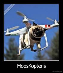 MopsKopteris - 