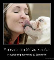 Mopsas nulaižė sau kiaušus - ir nuskubėjo pasisveikinti su šeimininke