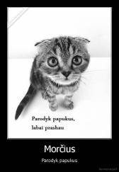 Morčius - Parodyk papukus