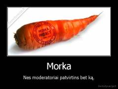Morka - Nes moderatoriai patvirtins bet ką.