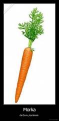 Morka - daržovių karalienė 
