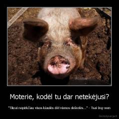 Moterie, kodėl tu dar netekėjusi? - "Tikrai nepirkčiau visos kiaulės dėl vienos dešrelės..." - Tsai Ing-wen