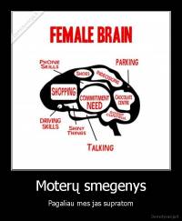 Moterų smegenys - Pagaliau mes jas supratom