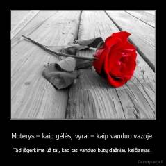 Moterys – kaip gėlės, vyrai – kaip vanduo vazoje. - Tad išgerkime už tai, kad tas vanduo būtų dažniau keičiamas!