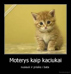 Moterys kaip kaciukai - nusisuk ir prisiks i bata 