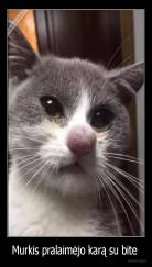 Murkis pralaimėjo karą su bite  - 