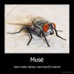 Musė - nėra nieko labiau nervinančio kaime