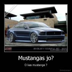 Mustangas jo? - O kas mustange ?