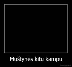 Muštynės kitu kampu - 