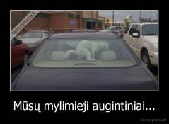 Mūsų mylimieji augintiniai... - 