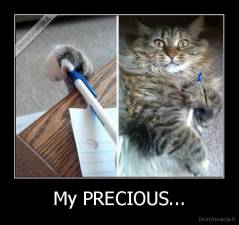 My PRECIOUS... - 