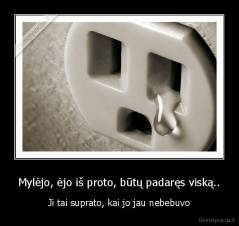 Mylėjo, ėjo iš proto, būtų padaręs viską.. - Ji tai suprato, kai jo jau nebebuvo