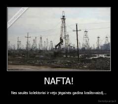 NAFTA! - Nes saulės kolektoriai ir vėjo jėgainės gadina kraštovaizdį...
