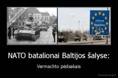 NATO batalionai Baltijos šalyse: - Vermachto pėdsakais