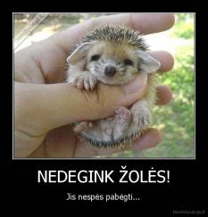 NEDEGINK ŽOLĖS! - Jis nespės pabėgti...