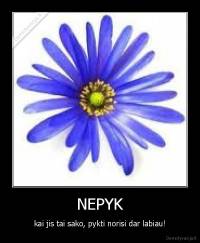 NEPYK - kai jis tai sako, pykti norisi dar labiau!