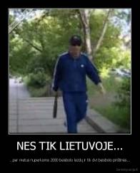 NES TIK LIETUVOJE... - ...per metus nuperkama 2000 beisbolo lazdų ir tik dvi beisbolo pirštinės...