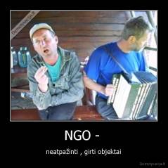 NGO -  -  neatpažinti , girti objektai 