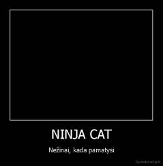 NINJA CAT - Nežinai, kada pamatysi