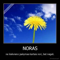 NORAS - ne kiekvieno įsakymas-kartais nori, bet negali.