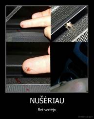 NUŠĖRIAU - Bet vertėjo