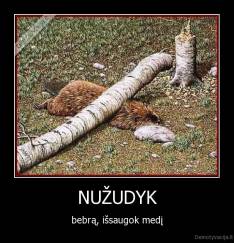 NUŽUDYK - bebrą, išsaugok medį