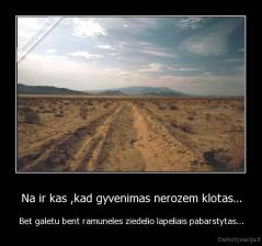 Na ir kas ,kad gyvenimas nerozem klotas... - Bet galetu bent ramuneles ziedelio lapeliais pabarstytas...