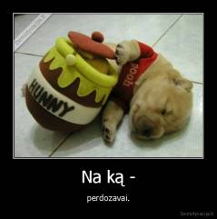 Na ką - - perdozavai.