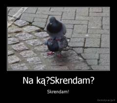 Na ką?Skrendam? - Skrendam!