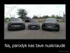 Na, parodyk kas tave nuskriaudė - 