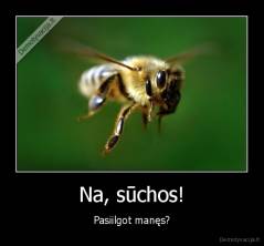 Na, sūchos! - Pasiilgot manęs?