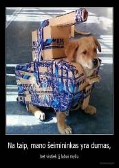 Na taip, mano šeimininkas yra durnas, - bet vistiek jį labai myliu