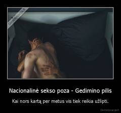 Nacionalinė sekso poza - Gedimino pilis - Kai nors kartą per metus vis tiek reikia užlipti.