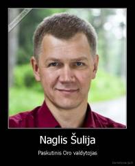 Naglis Šulija - Paskutinis Oro valdytojas