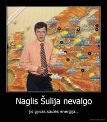 Naglis Šulija nevalgo - jis gyvas saulės energija..