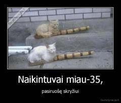Naikintuvai miau-35, - pasiruošę skryžiui