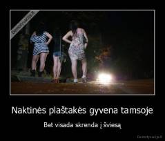 Naktinės plaštakės gyvena tamsoje - Bet visada skrenda į šviesą