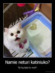 Namie neturi katiniuko? - Tai ką tada tu myli?