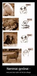 Naminiai gyvūnai - - mes juos taip mylim tol kol jie užauga