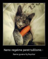 Namo negalima pareit tuščiomis -  - Namie gyvena Ką Nupirkai