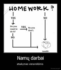 Namų darbai - atsakymas vienareikšmis 