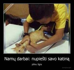 Namų darbai: nupiešti savo katiną - pilnu ūgiu